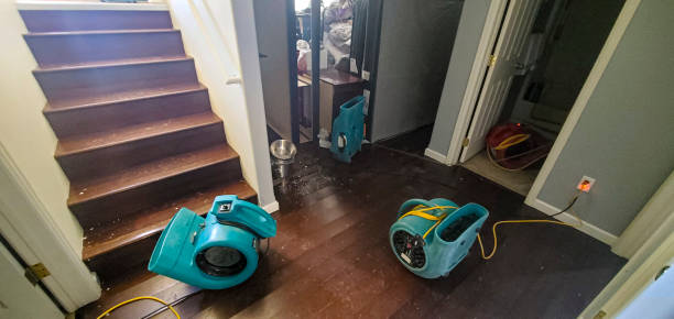 Trusted Wood River, IL Water damage restoration Experts