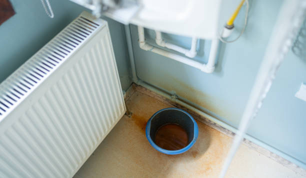 Best Fire Damage Restoration  in Wood River, IL