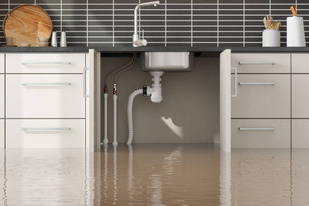 Best Flooded house restoration  in Wood River, IL