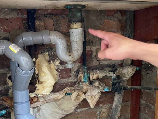 Best Commercial water damage restoration  in Wood River, IL