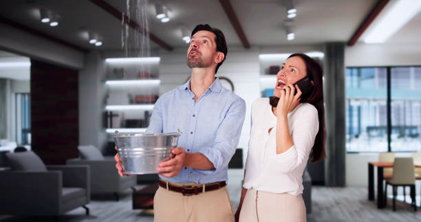 Best Flooded house restoration  in Wood River, IL