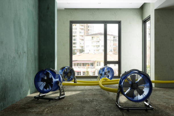 Best Emergency water damage restoration  in Wood River, IL