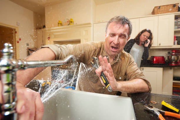 Best Water damage restoration near me  in Wood River, IL